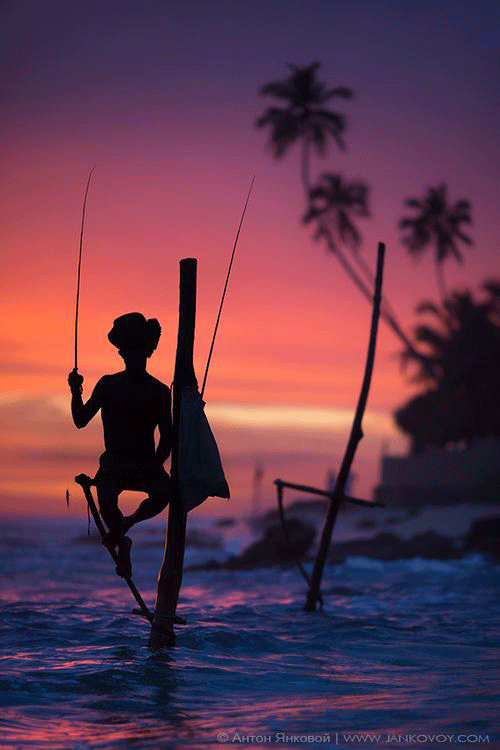 sri-lanka-fisherman