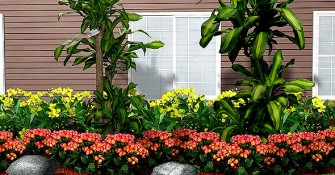 home-garden