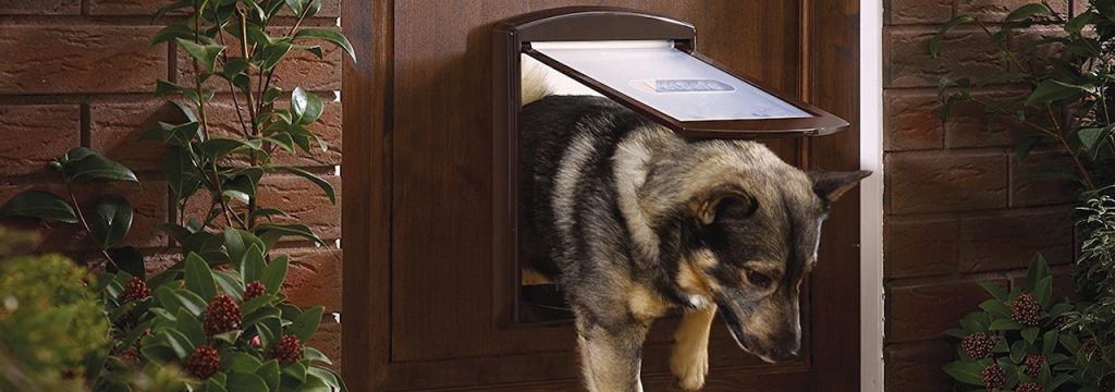 pet door