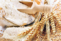 Flour mills