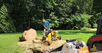 Stump removal by tree service